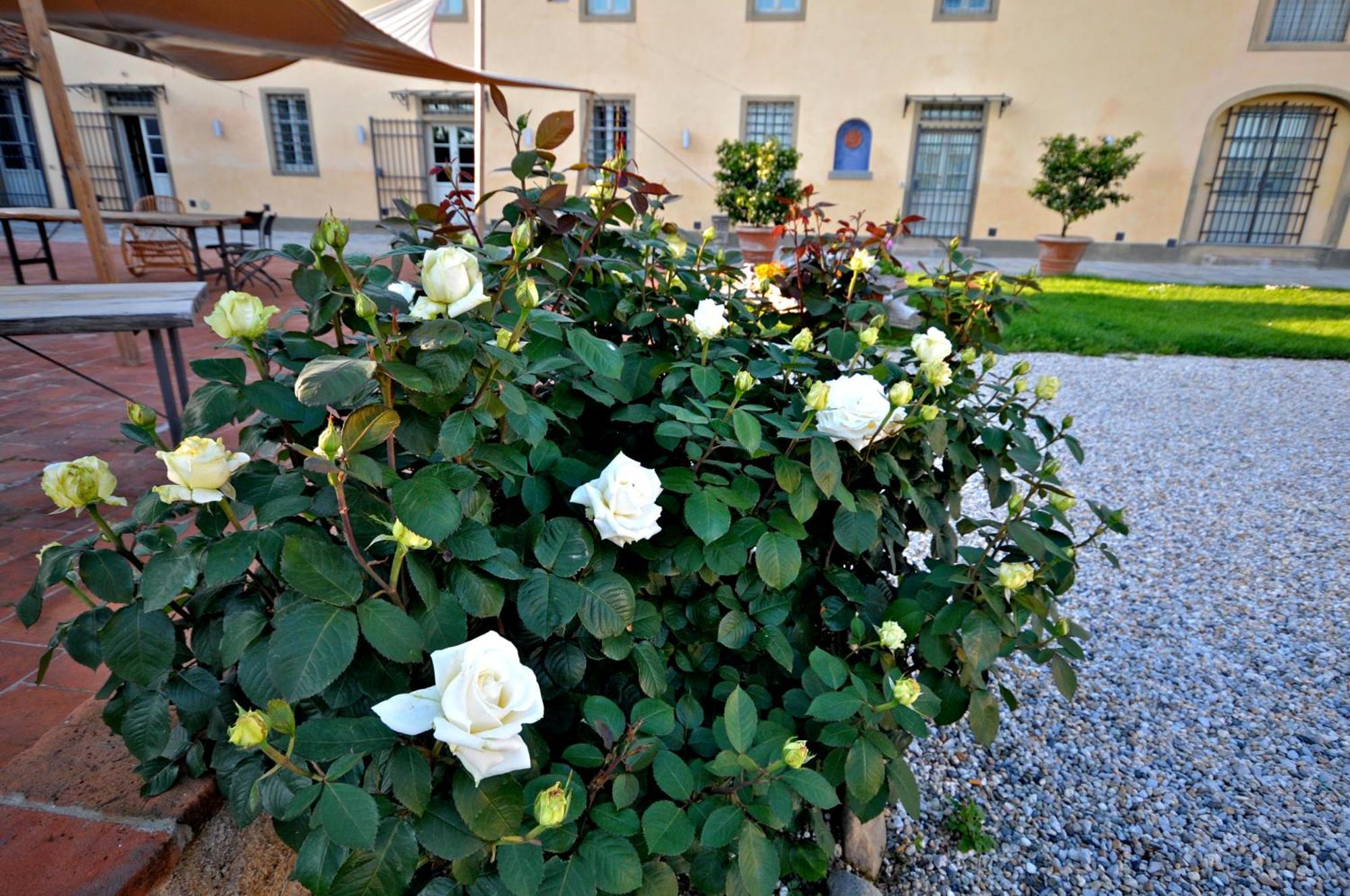 Agriturismo San Rocco Pistoia Extérieur photo